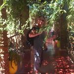 Hanna, Home sitter Saint-Romans-des-Champs France | 1