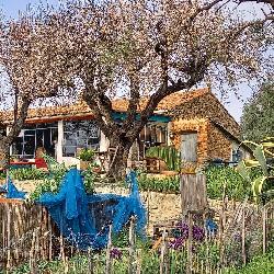 isbgar La Cadière-d'Azur France