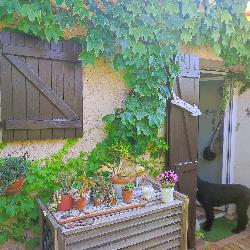 izia Hyères France