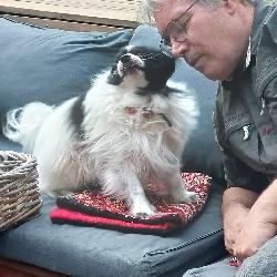 jean-claude Orvault France