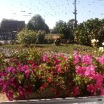 Jeanjean59173, Home sitter Robecq France | 2