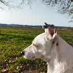 Jemijo, Home sitter Graulhet France | 5