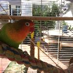 Josse, Home owner Saint-Hilaire-de-Riez France | 5