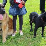 Katia-franck, Home sitter Les Ponts-de-Cé France | 3