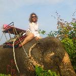 Katop77, Home sitter Bourg-lès-Valence France | 1