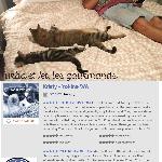 Lesmanalas, Home sitter Thann France | 6