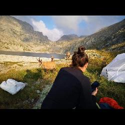 Lilly8854, Home sitter Longlaville France | 5