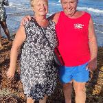 Lionel, Home sitter Pfettisheim France | 6