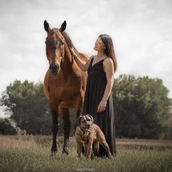 Loudelangle, Home sitter Billy-Berclau France