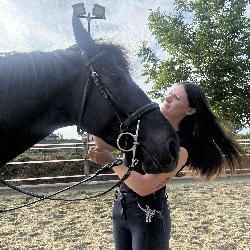 Loudelangle, Home sitter Billy-Berclau France | 2