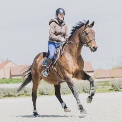 Loudelangle, Home sitter Billy-Berclau France | 4