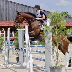 Loudelangle, Home sitter Billy-Berclau France | 5