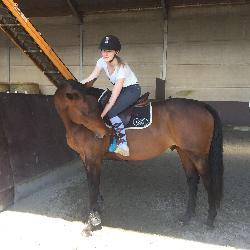 Loudelangle, Home sitter Billy-Berclau France | 6