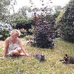 Lulu48, Home sitter Rieutort-de-Randon France | 6