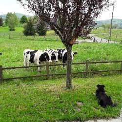 Magdalhia, Home sitter Saint-Pierre France | 4