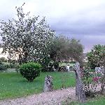 House sitting in  Ajain France