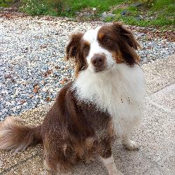 magmat77 Montauban France