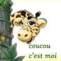 mameth Nègrepelisse France