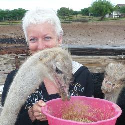 manis Belfort France