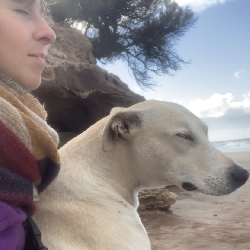 Marinet, Home sitter Mar del Plata Argentina