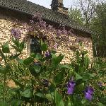 Math, Home sitter Saint-Hilaire-Luc France | 5
