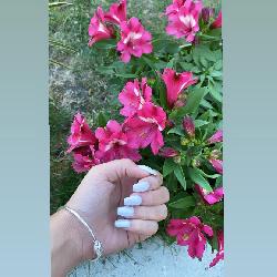 Maya60, Home sitter Nogent-sur-Oise France | 1