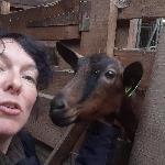 Melonia, Home sitter Kaysersberg France | 5