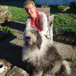 Mimi58, Home sitter Metz France | 6