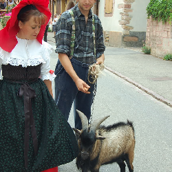 Mimichris, Home sitter Obernai France | 1
