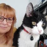 Moniphil, Home sitter Valenciennes France | 3