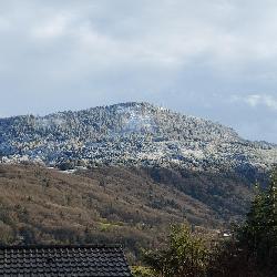 Myberd, Home sitter Machilly France | 2