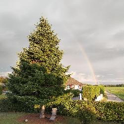 Myberd, Home sitter Machilly France | 3