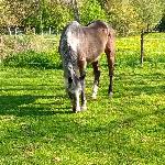 Nadineb, Home owner Menetou-sur-Nahon France