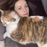 Noe_benhora, Home sitter Amiens France | 4