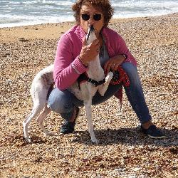 ouipette61 Lenclo&icirc;tre France