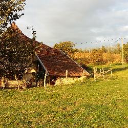 pat38 Gillonnay France