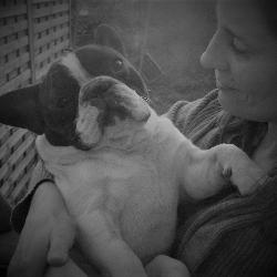 Pivoine, Home sitter Outreau France | 2