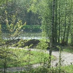 Pivoine, Home sitter Outreau France | 10