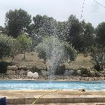 provence Vernègues France