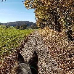 Calou Besan&ccedil;on France