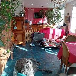 DDany Saint-Nic France