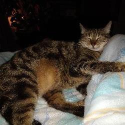 Lunna Villeneuve-sur-Lot France