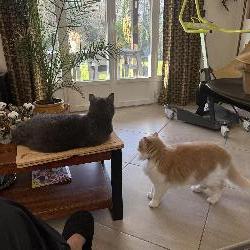 Magalita Charantonnay France