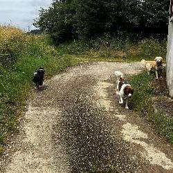 Manning Châbons France