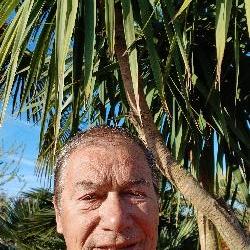 PAT17 La Jarrie France