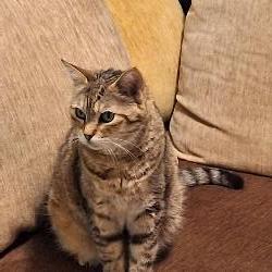 SylvieYoga Sauvian France