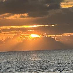 audle Papeete French-Polynesia