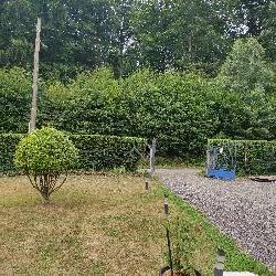 House sitter in  Le Tronquay France