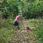 Borrie1307, Home sitter Frome United Kingdom | 10