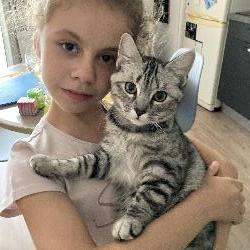 Coyote7244, Home sitter Sainte-Luce-sur-Loire France | 5